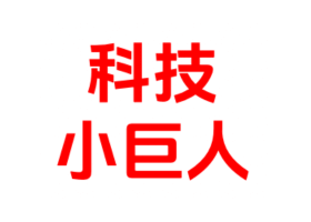 上海市科技小巨人企业